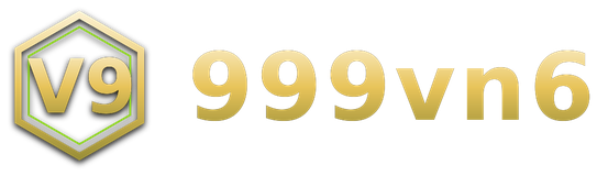 999vn6 logo